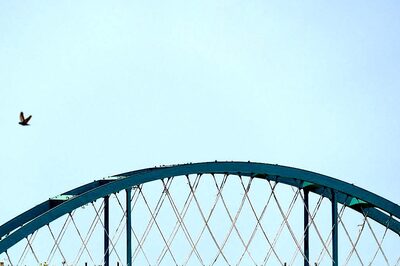 Mumbai: Coastal Road Arch Bridge Linking Nariman Point to Bandra To Open Soon For Commuters