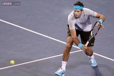 Del Potro, Raonic advance to Japan Open final