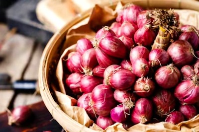 Govt's Subsidised Onion Sale Brings Relief, Prices Drop in Major Cities