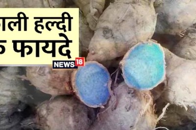 Ever Heard of Black Turmeric? Here are Some of its Health Benefits