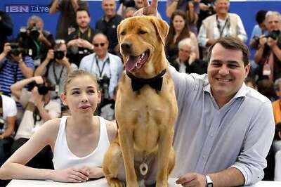 Huge pack of stray dogs in Hungarian film wows Cannes