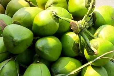 5 Tips To Help You Pick The Right Coconut With High Water Content