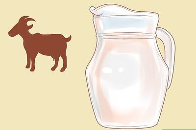 How to Nurse a Baby Rabbit