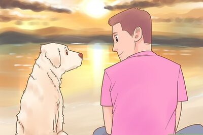 How to Know if Your Dog Likes You the Best