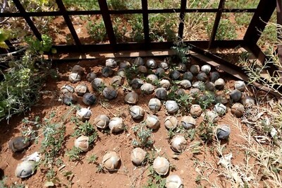 Last US Cluster-Bomb Maker to Cease Production