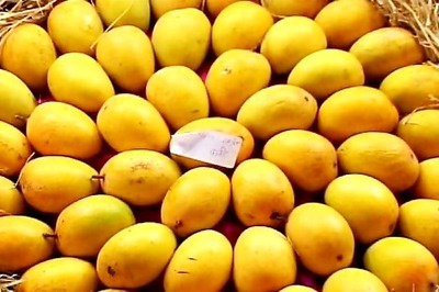 Mango import ban: EU to send high-powered delegation to India