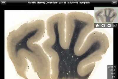 Einstein's brain is now an interactive iPad app