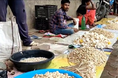 Why You Must Think Twice Before Eating Mushrooms During Monsoon