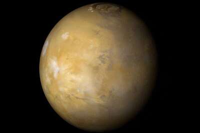 Did NASA Probe Burn up Organic Molecules on Mars 40 Years Ago?