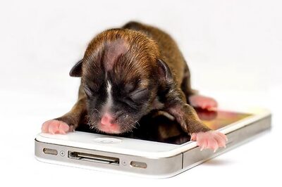 Apple iPhone 5: Top 10 rumours