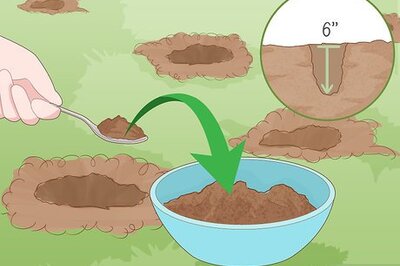 How to Do a Home Soil Test