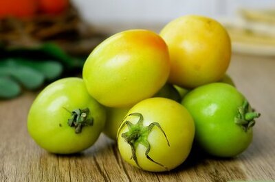Best Way to Store Tomatoes