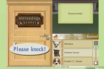 How to Play Nintendogs