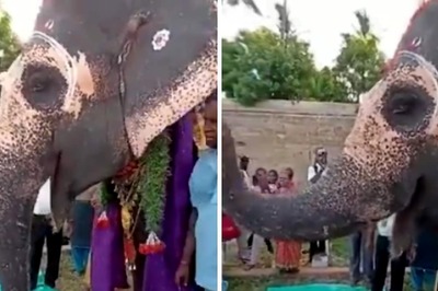 Watch: Elephant Dances And Feasts On 'Special Thali' On Birthday