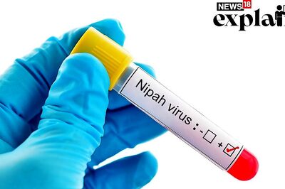 EXPLAINED | All You Need to Know About Nipah Virus in Kerala, Its Symptoms, Precautions & Treatment