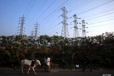 Rural India selling cows, buffaloes online