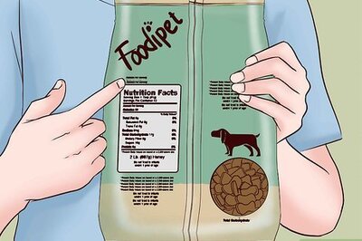 How to Choose Safe Pet Food