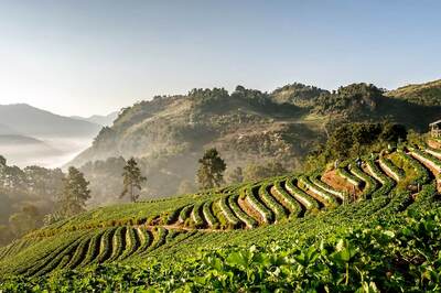 Ancient Siam in Thailand: The World’s Biggest Outdoor Museum