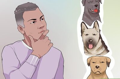 How to Contact a Dog Breeder