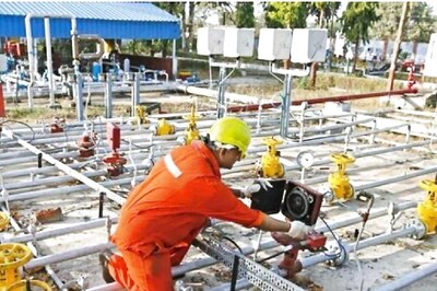 ONGC Scraps Bids for Flagship Daman Gas Field Development Over Cost Concerns: Report