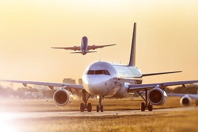 Canada Launches Investigation as 38 Puppies Found Dead on Ukraine Flight