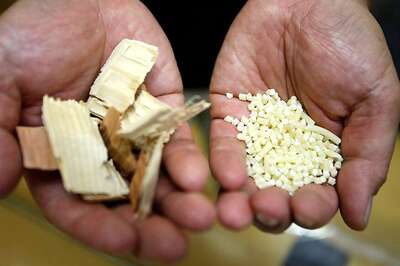 Japan Looks to Wood to Make Auto Parts Five Times Stronger Than Steel