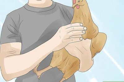 How to Clip Chicken Wings