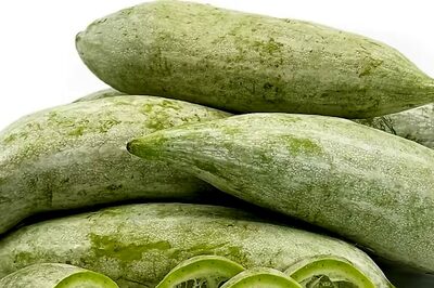 Weight Loss To Improving Kidneys, Health Benefits Of Eating Snake Gourd