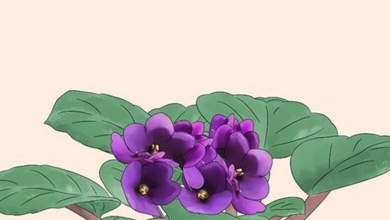 How to Grow Plants With Grow Lights