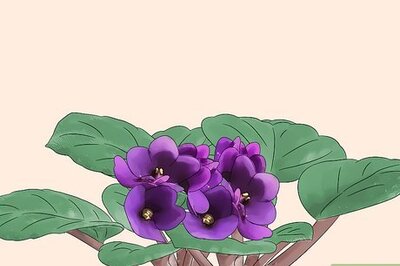 How to Grow Plants With Grow Lights