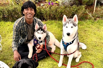 Adorable Picture of Dhanush With His Dogs Goes Viral