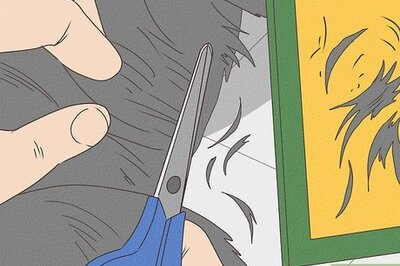 How to Get Mousetrap Glue Off a Cat