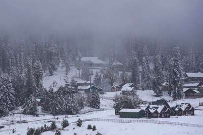 Avalanche Hits J-K's Gulmarg; Trapped Skiers Rescued