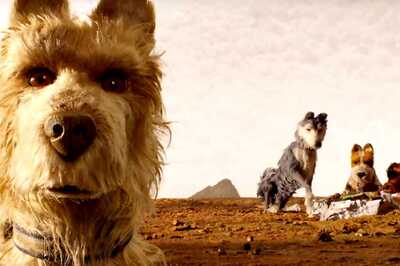 Isle of Dogs Review: Wes Anderson-Directed Animated Film Begs More Than Just One Viewing