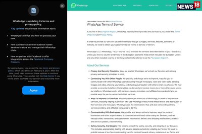 Did You Get A New WhatsApp Privacy Policy Popup? More Clarity On Your Data Usage, But Thats About It
