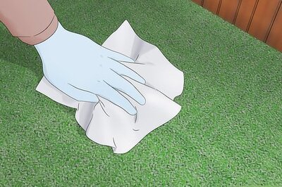 How to Clean Dog Urine Out of Artificial Grass