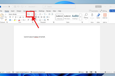 How to Make a Font Smaller in Microsoft Word