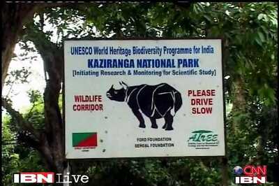 Rhino killed in Kaziranga; horn and ears taken away