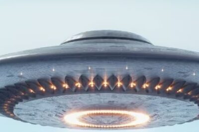 American Professor Claims UFO Sighting Under The Sea, Recounts Sensational Experience