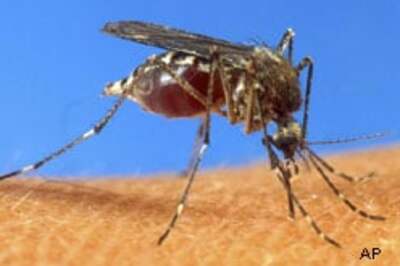 Dengue: Toll 135, 170 new cases