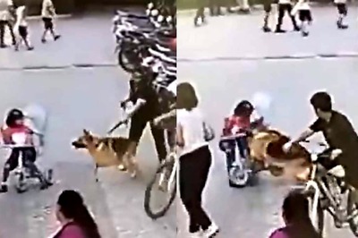 German Shepherd Attacks 6-Year-Old In Ghaziabad's Housing Society | On Cam