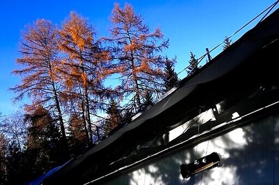 Skeleton Slider Daly Tests Positive; Olympic Status Unclear