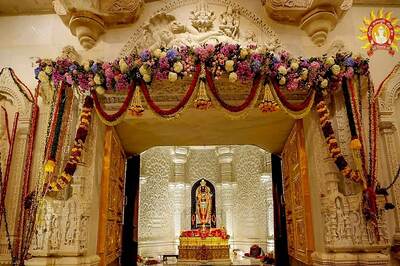 'Hanuman Ji Himself...': What Temple Trust Said About Monkey Entering Ram Mandir's Sanctum Sanctorum