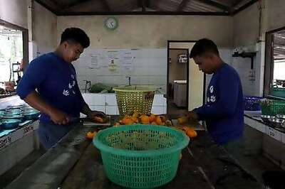 Thai Refuge Warns Of Growing Risks To Animals As Pandemic Bites