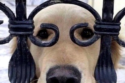 In A Flurry Of Funny Responses To Anand Mahindra's Caption Contest, This One A Winner