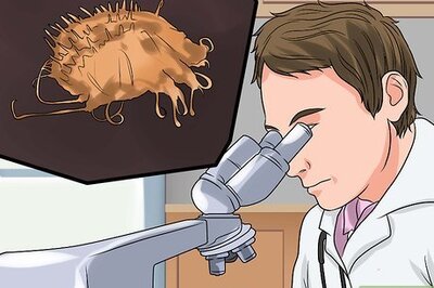 How to Diagnose Scabies