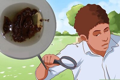 How to Check Your Health by Poop or Stool Colors