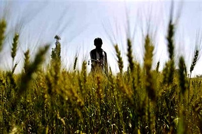 Lot more needs to be done to stop farmer suicides: Maharashtra government
