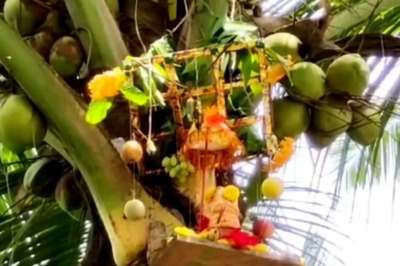 Andhra District's Ganesh Chaturthi Celebrations Highlight The Struggle Of Coconut Farmers
