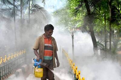 Dengue Cases Surge In Bengaluru: Civic Body Implements Measures, Doctors Offer Advice For Pregnant Women, Children